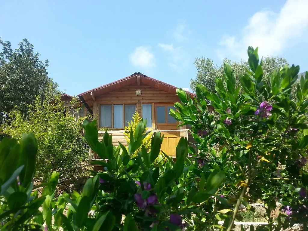 Olive Garden Kabak Hotel Faralya