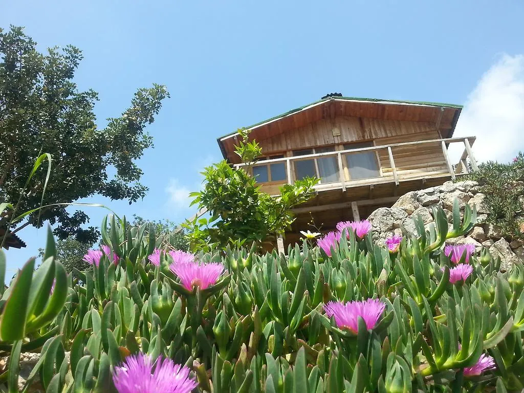 Feriepark Olive Garden Kabak Hotel Faralya