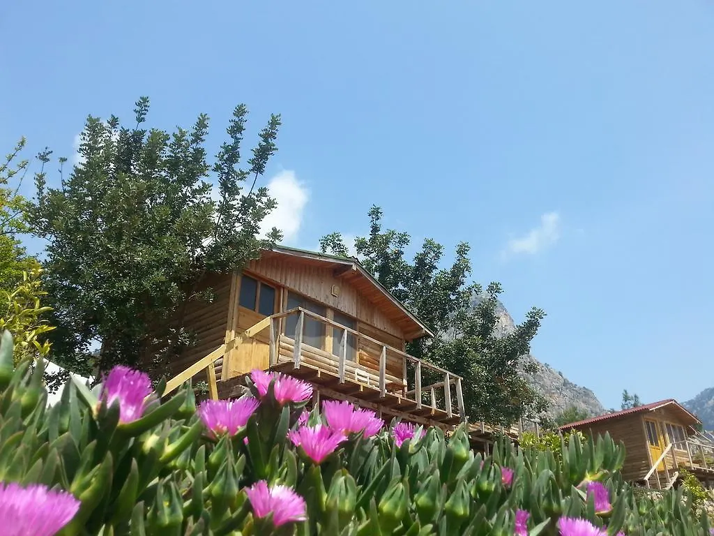 Olive Garden Kabak Hotel Faralya 2*,