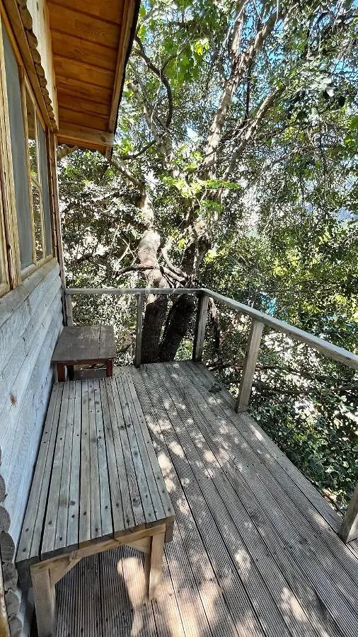 Olive Garden Kabak Hotel Faralya