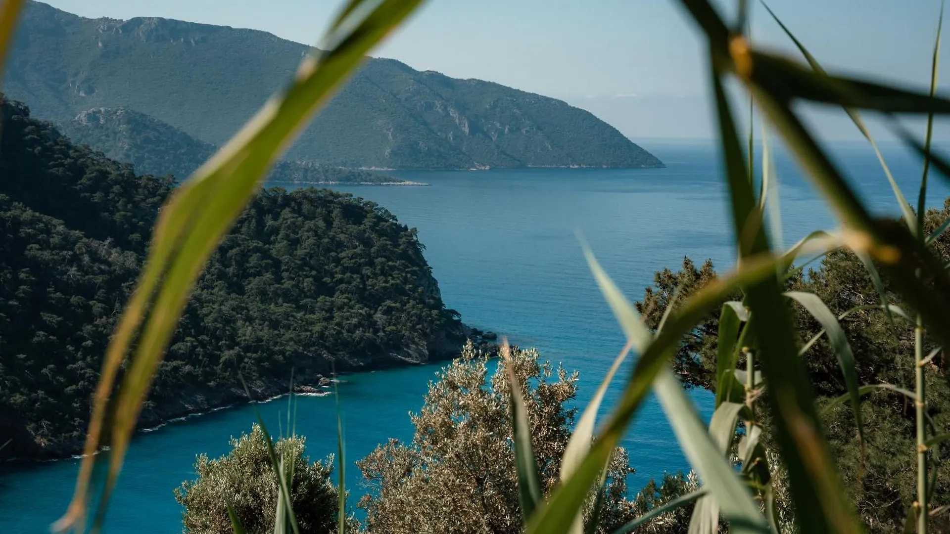 Hotel Olive Garden Kabak Faralya