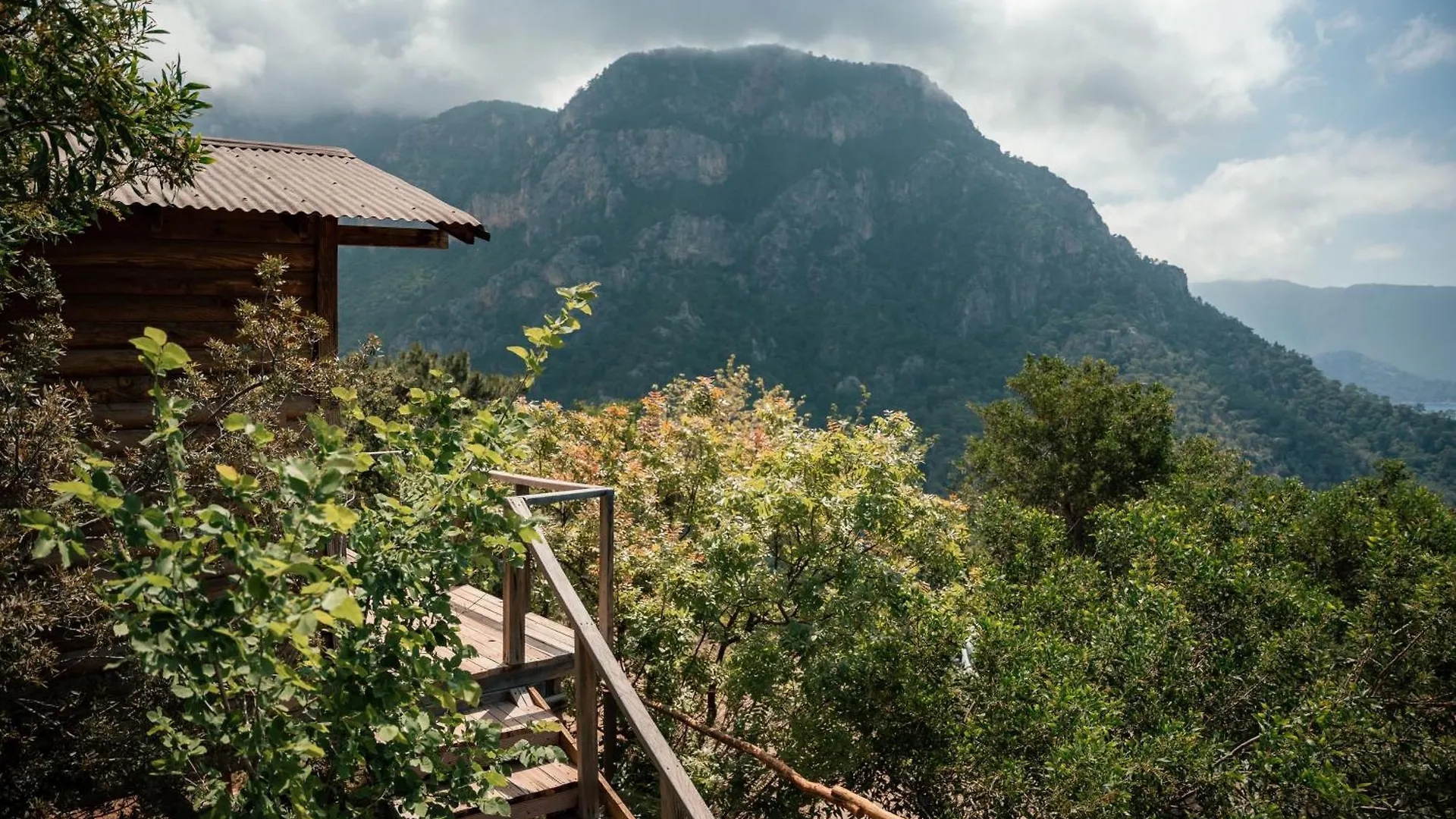 Hotel Olive Garden Kabak Faralya 2*,