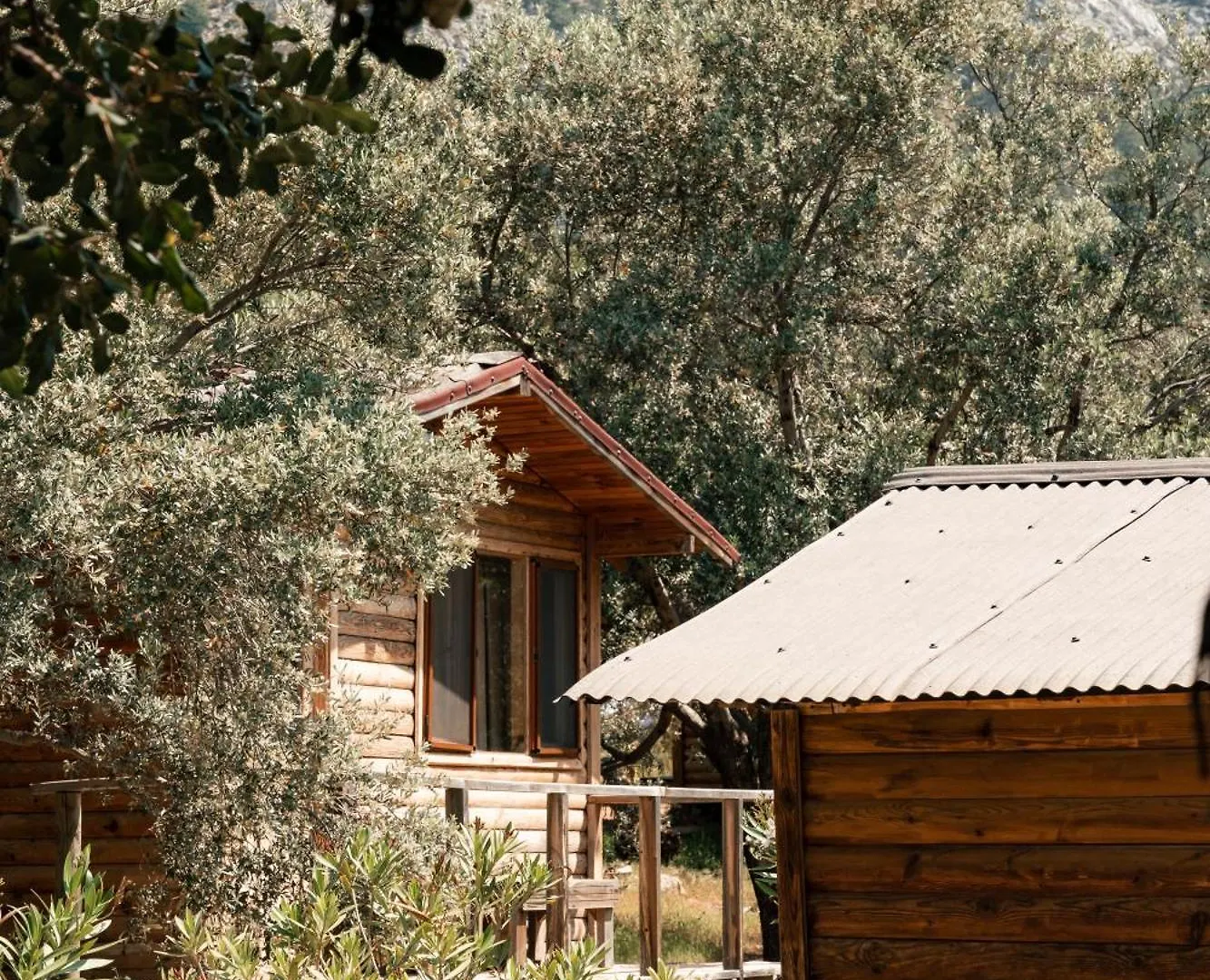 Olive Garden Kabak Hotel Faralya 2*,