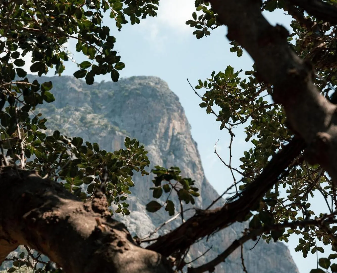 Vakantiepark Olive Garden Kabak Hotel Faralya