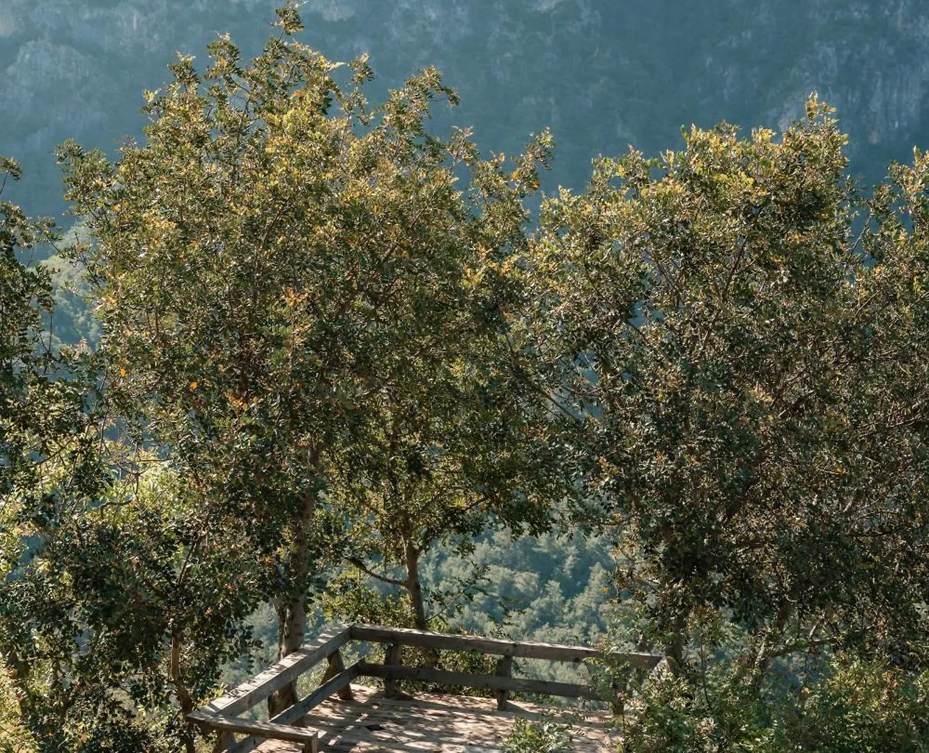 ** Vakantiepark Olive Garden Kabak Hotel Faralya Turkije