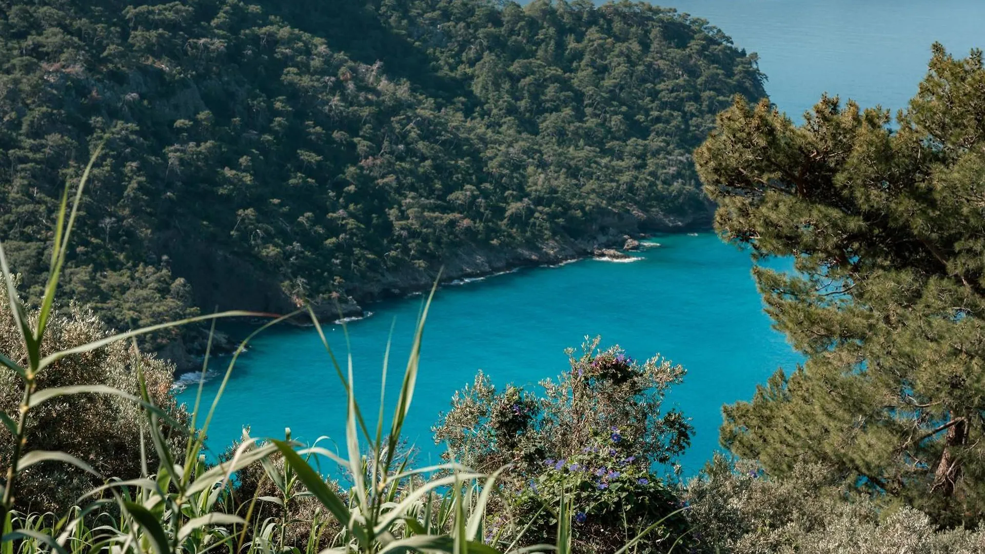 Olive Garden Kabak Hotel Faralya Vakantiepark