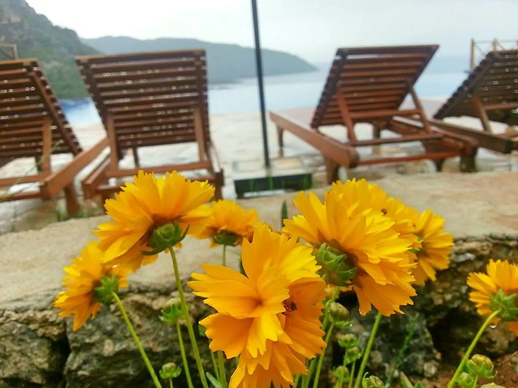 Olive Garden Kabak Hotel Faralya 2*,