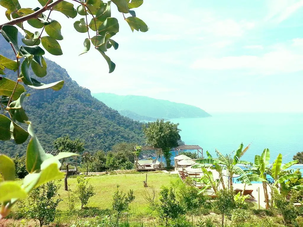 Holiday park Olive Garden Kabak Hotel Faralya