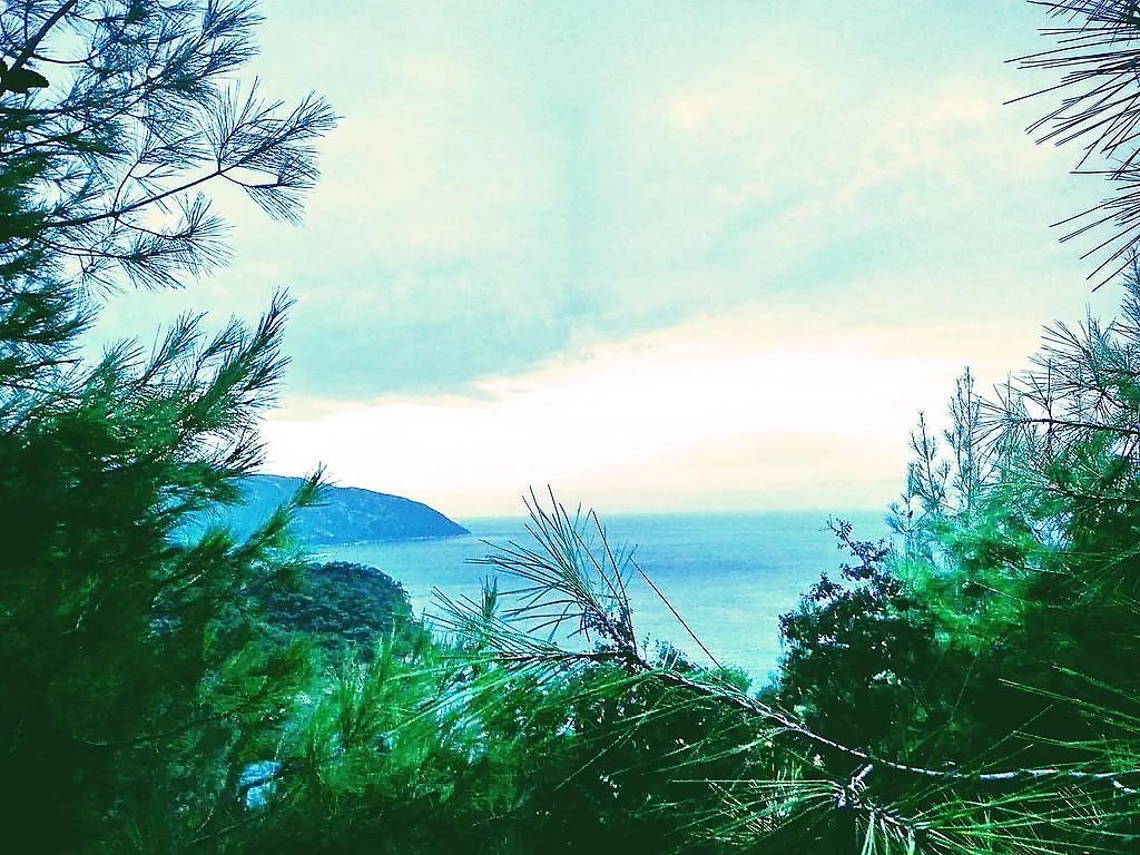 Olive Garden Kabak Hotel Faralya 2*,  Tyrkiet