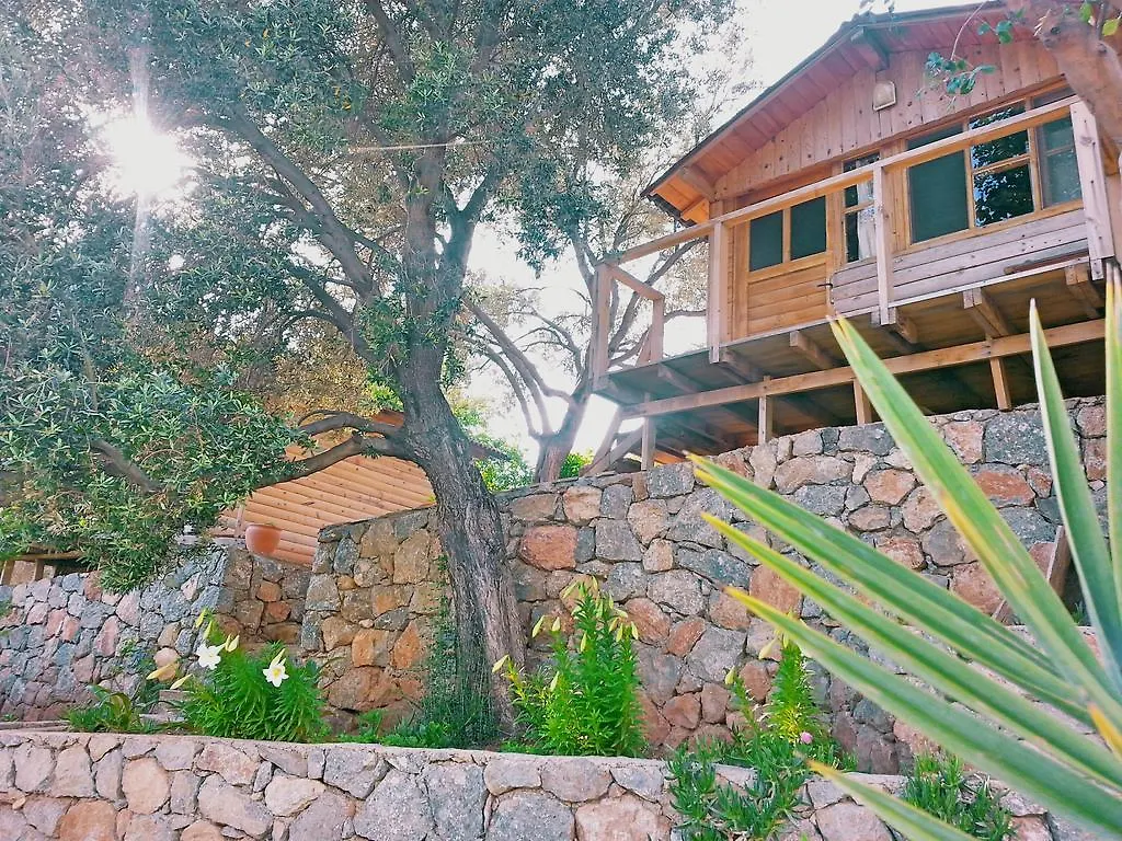 Olive Garden Kabak Hotel Faralya 2*,