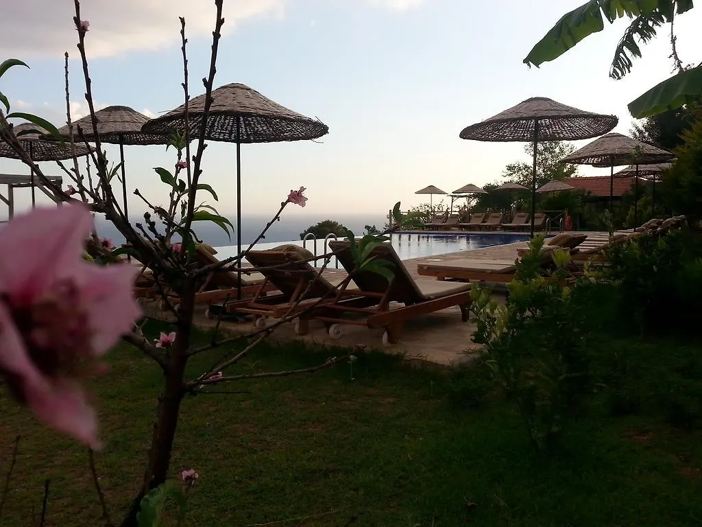 Olive Garden Kabak Hotel Faralya Turkey