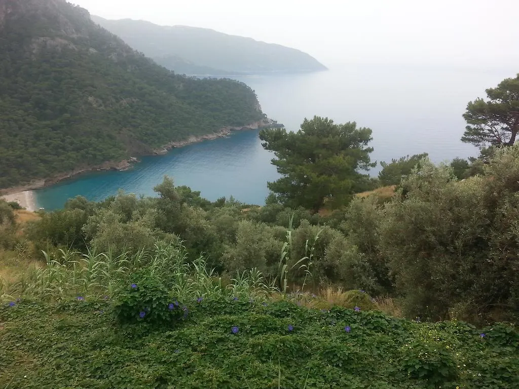 Olive Garden Kabak Hotel Faralya 2*,  Turkey