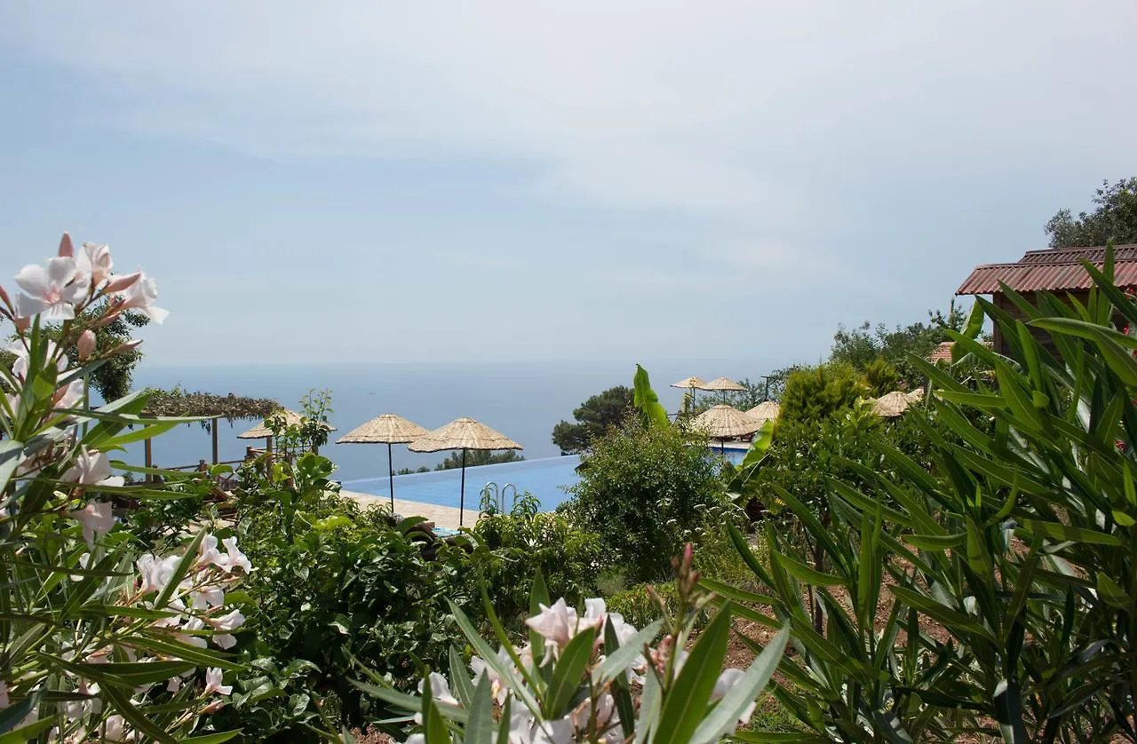 Olive Garden Kabak Hotel Faralya