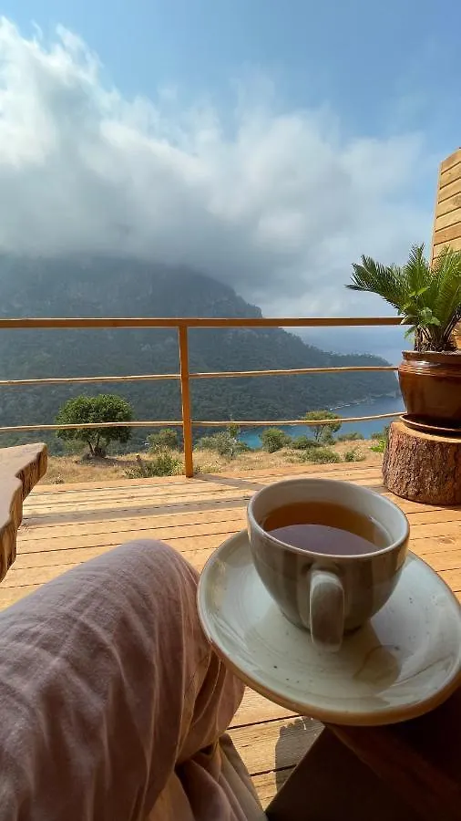 ** Tatil parkı Olive Garden Kabak Otel Faralya Türkiye