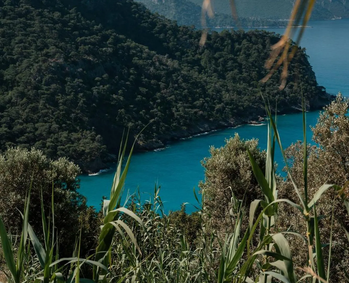 Olive Garden Kabak Hotel Faralya Holiday park